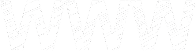 website2
